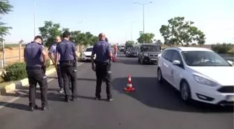Yol kenarında dinlenirken otomobil çarpan besici öldü