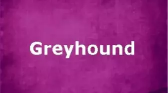 Greyhound Filmi