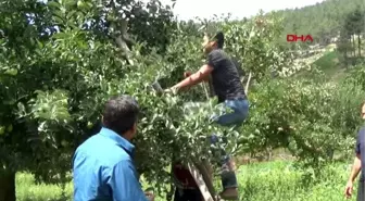 Hatay kan bağışı yapan vatandaşlara kitap dağıtıldı