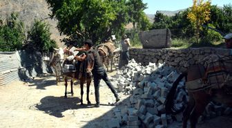 Araçların giremediği yerlere katırlarla taş taşındı