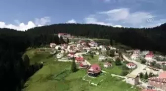 Doğadan gelen zenginlik: Karadeniz mutfağı