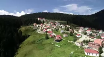 Doğadan gelen zenginlik: Karadeniz mutfağı