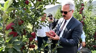 Vali, tekneyle göle açılarak, bahçede elma topladı