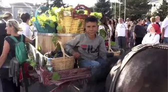 'Bağ Bozumu Şenlikleri' başladı