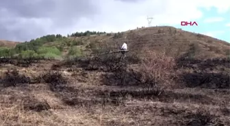 Erzincan erzincanlı prof. orman yangınlarına ilginç bir eylemle dikkat çekti