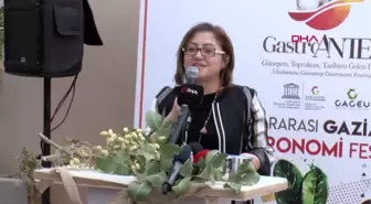 Gaziantep gastroantep festivali kapsamında fıstık hasadı yapıldı