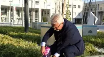 Nilüfer'de can dostlar için bir adım