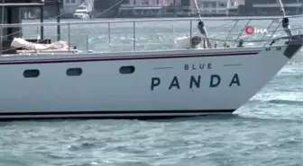 Plastik kirliliğine karşı yola çıkan Blue Panda İstanbul'da