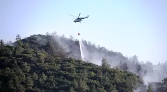 Bodrum'daki orman yangını güçlükle kontrol altına aldı