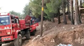 Kahramanmaraş'ta 5 dekar zeytinlik yandı