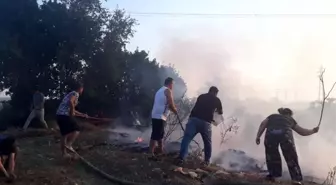 Antalya'da makilik alanda yangın