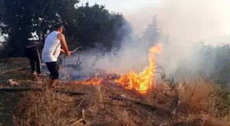 Antalya'da makilik alanda yangın