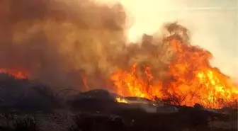 Makilik alandaki yangın mahalleyi dumanla kapladı