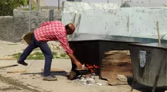 Yüzyıllardır devam eden gelenek: Buğday kaynatma