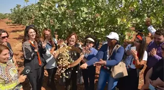 Gaziantep’te 40 ülkenin lezzet temsilcileri bir araya geldi