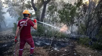 Antalya'da orman yangını