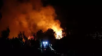 Hatay'da orman yangını