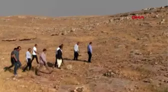 Şanlıurfa göbeklitepe'ye benzeyen harbetsuvan tepesi'nde kazılar başladı