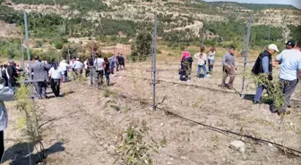 Simav'da 'goji berry' deneme üretiminde sonuçlar başarılı