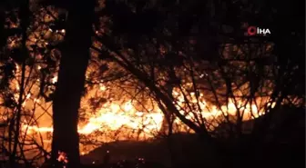 Hatay'da 25 farklı noktada orman yangını...Alevler Hatay semalarını aydınlattı