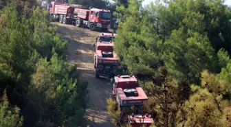 Hatay'da 25 noktada çıkan yangında soğutma çalışmaları sürüyor