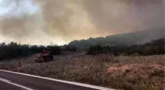 Bilecik'te makilik yangını; 2,5 saatte kontrol altına alındı