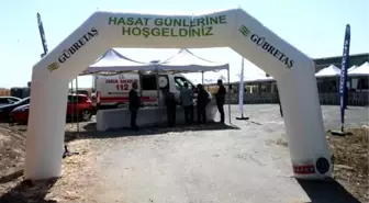 Hasat Günü etkinliği