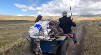 Kars'ta yaylacıların dönüş yolculuğu