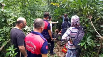 Kestane toplarken arı soktu, ekipler seferber oldu