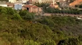 Pendik'te orman yangını çıkardığı iddia edilen kişi kamerada