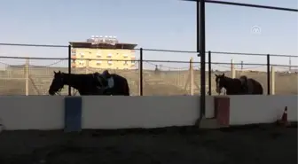 Engelleri atla aşan tedavi yöntemi hipoterapi