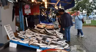 Hamsi 3 günde fiyatını 5'e katladı