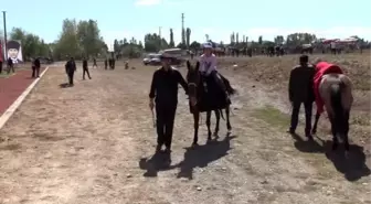 Amasya'da rahvan at yarışları yapıldı