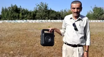 Arı kuşu ile mücadelede ekolojik dengeyi bozmayacak yöntem