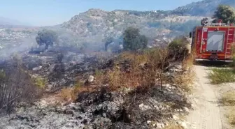 Samandağ'da bitki örtüsü yangını