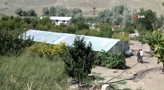 Devlet desteğiyle kaz çiftliği kurup kendi işlerinin patronu oldular