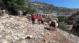 Yamaçta mahsur kalan keçi, 7 saatlik operasyonla kurtarıldı