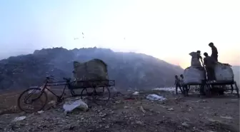 Bozcaada ekolojik belgesel festivali'nde finalistler belli oldu