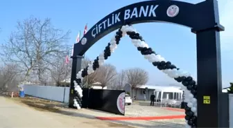 Çiftlik Bank davasına, mahkeme başkanı ile avukatın arasında geçen diyalog damga vurdu