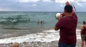 Turistler denizdeki tehlikeye aldırmadı