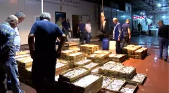 Antalya akdeniz balıklarını yemenin tam zamanı