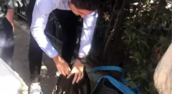 İstanbul'da 4 ilçede tarihi eser operasyonu; 5 gözaltı