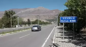 Üzümlü'nün bağlarında 'Cimin üzümü' bereketi