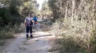 Beyşehir'de güz mesaisi