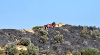 Hatay'da 5 hektar makilik alan yandı