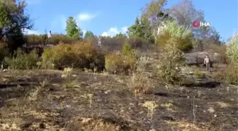 Sandıklı'da orman yangını