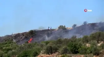 Kırsal alanda çıkan yangın Asi Nehri'nden alınan suyla yangını söndürüldü