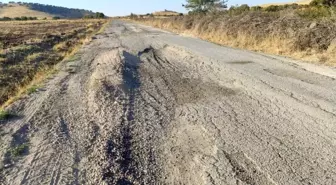 Mazıdağı'nda bozuk yollar vatandaşı çileden çıkardı