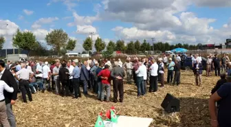 Sakarya Ziraat Odaları Başkanı Bayraktar: 'Fiyatların düşük olması üreticimizi mısır üretiminden...