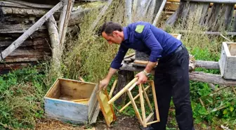 (Özel) Kastamonu'yu ayı korkusu sardı